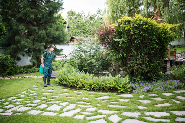 Wasp Removal Services in South Shore, KY