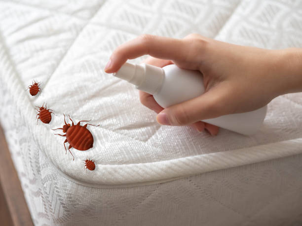  South Shore, KY Pest Control Pros