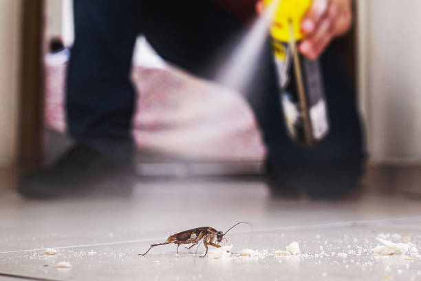 Best Commercial Pest Control Services  in South Shore, KY